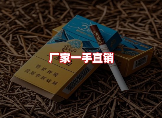 专业团队